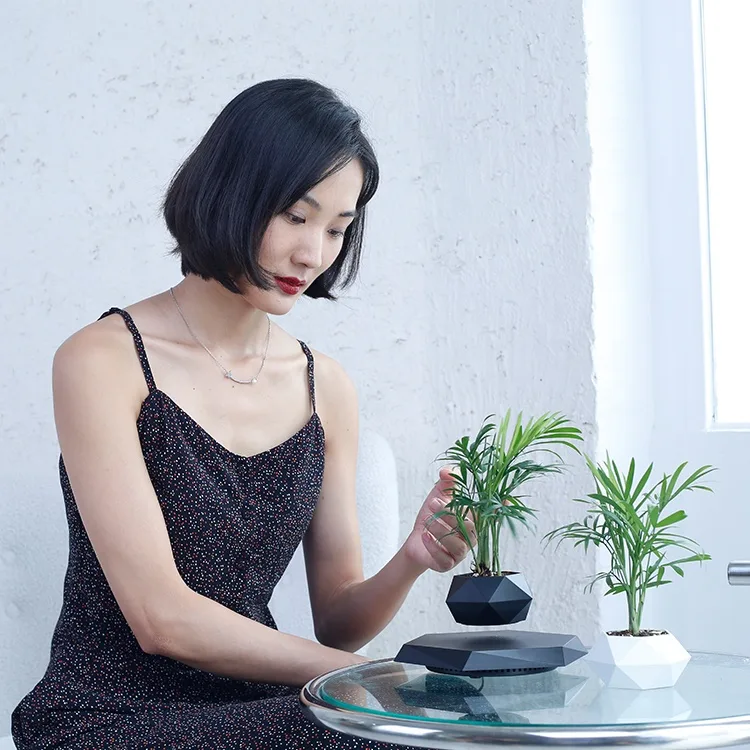 Nordic Ins Decor Indoor Flowerpots Vase Simple Succulent Magnetic Floating Levitating Flower Pot - 图片 4