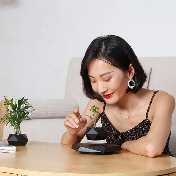 Nordic Ins Decor Indoor Flowerpots Vase Simple Succulent Magnetic Floating Levitating Flower Pot - 图片 5