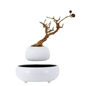 Manufacturer Wholesale Modern Indoor Plastic Artificial Palm Plant Tree Magnetic Levitation Floating Resin Bonsai