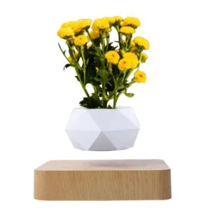 Ceramic Geometric Succulent Cactus Metal Wall Planter Holder Magnetic Levitation Floating Flower Pot