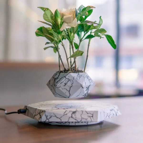 How to Make Your Own Levitating Plant Pot ...