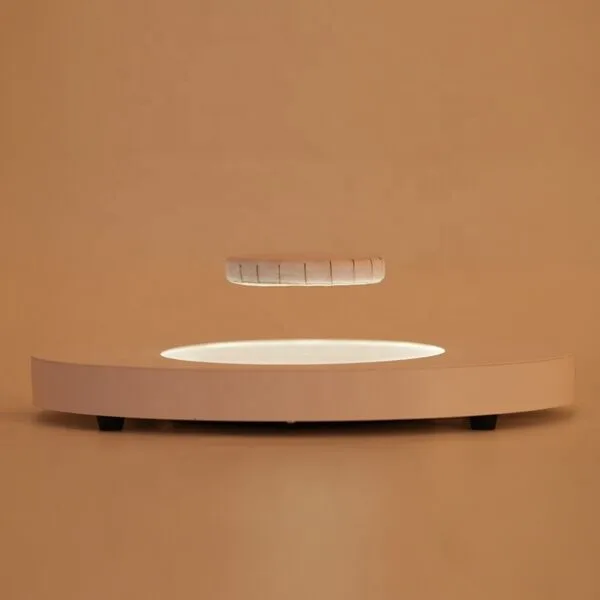 Top Magnetic Levitation Modules