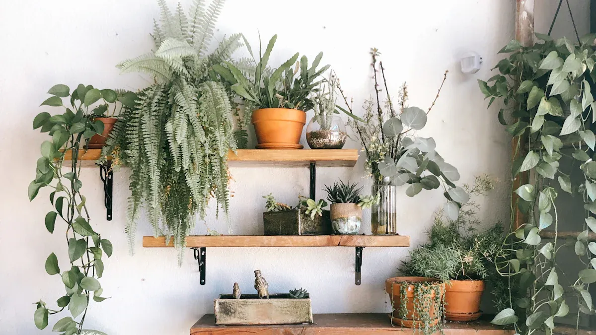 Best Magnetic Levitation Products for Decor