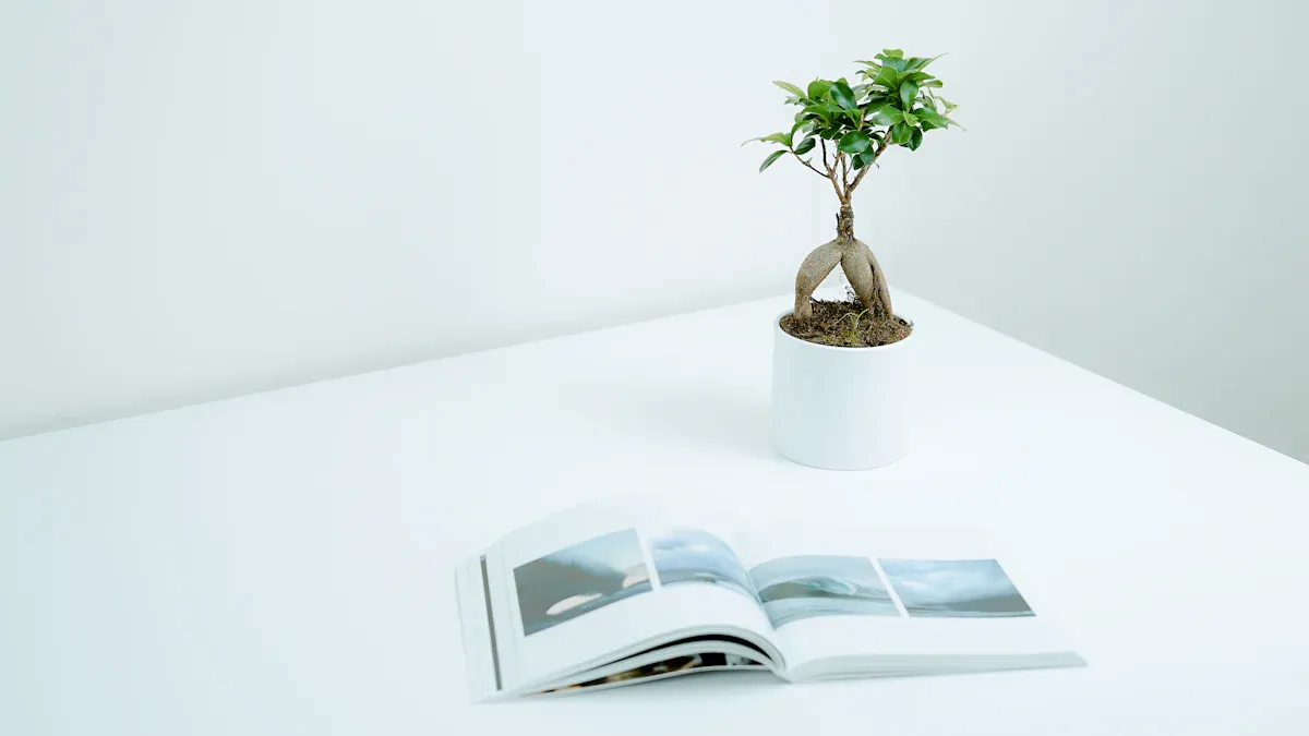 Goodwell Electronic’s Magnetic Levitation Gifts