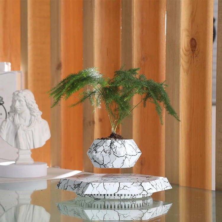 How a Boutique Gift Shop Increased Revenue by 30% with Tech-Inspired Greenery